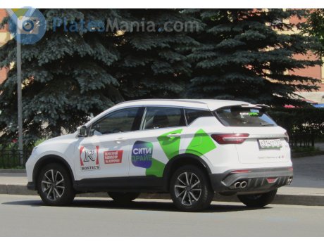 е314ст797, BelGee X50