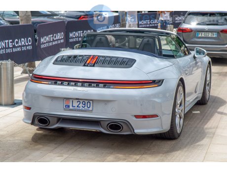 L290, Porsche 911