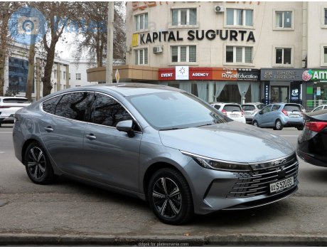 01 S 520 BB, BYD Chazor
