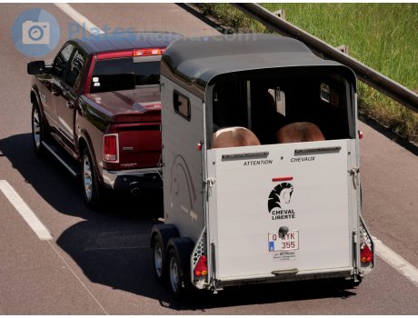Q-AYK-355, Cheval Liberte