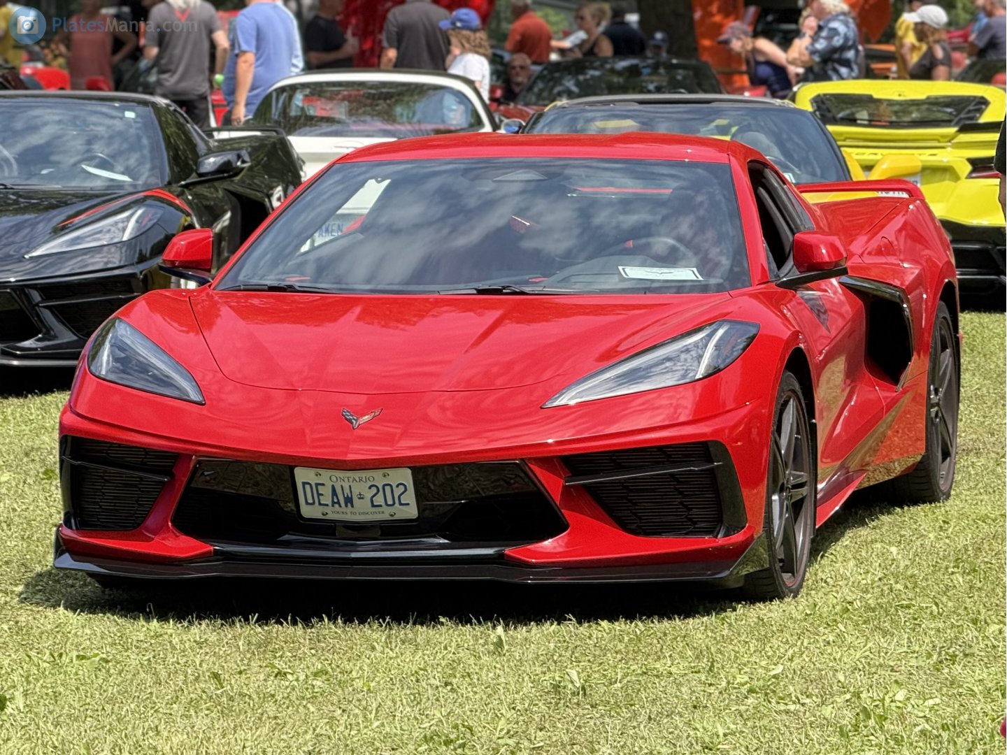 DEAW-202, Chevrolet Corvette 8th gen Coupé (C8), 2020–