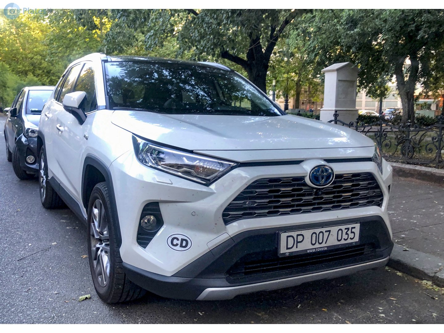 DP 007 035, Toyota RAV4 5th gen (XA50), 2018–