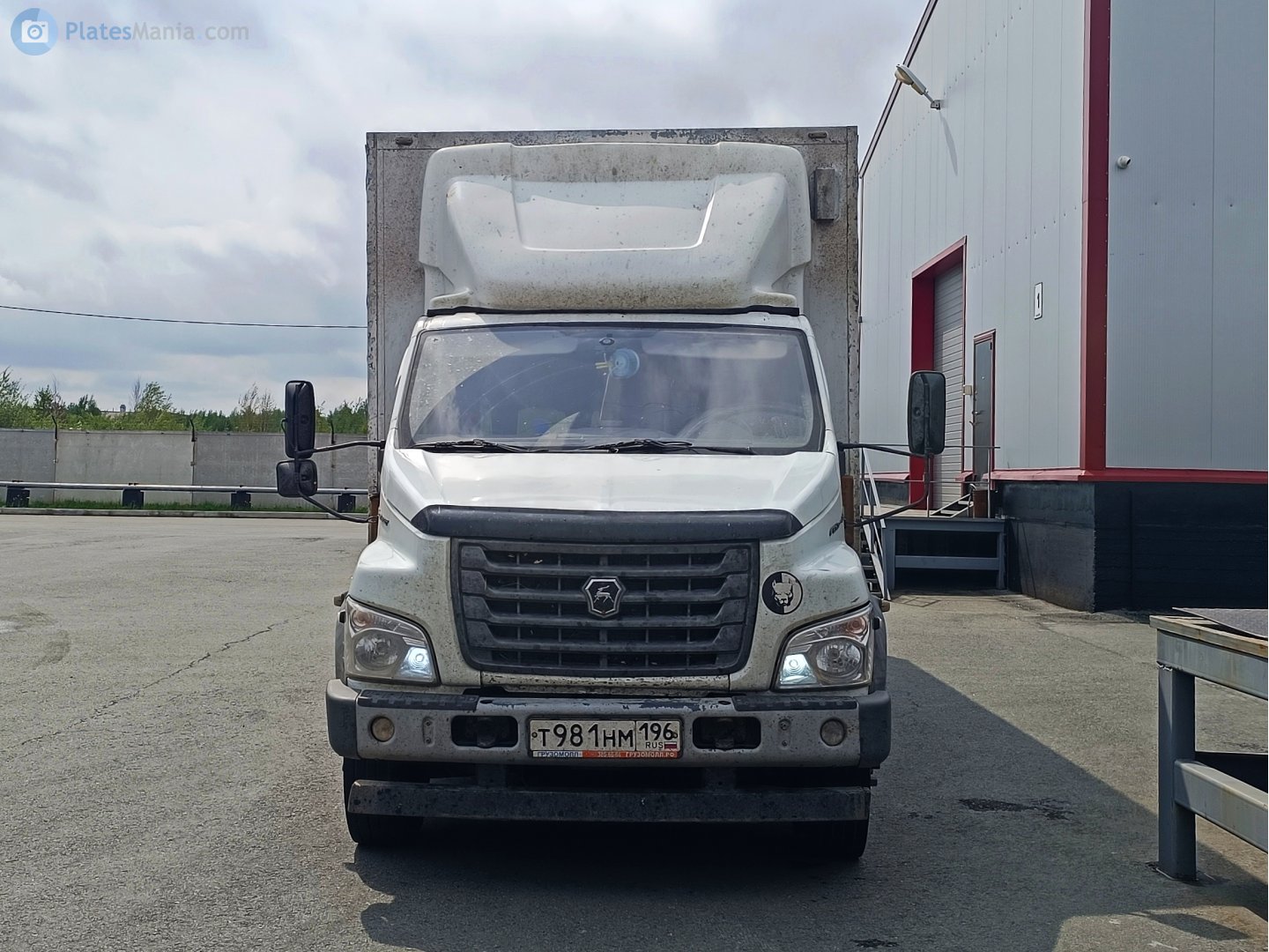 т 981 нм 196, GAZ ГАЗон Next Single Cab (C41), 2014–