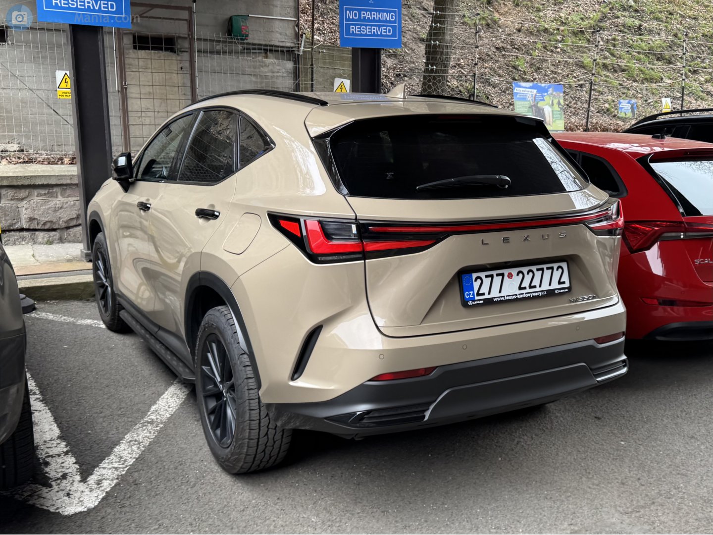 277 22772, Lexus NX 2nd gen (AZ20), 2021–