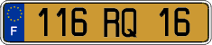 French license plate, FNI