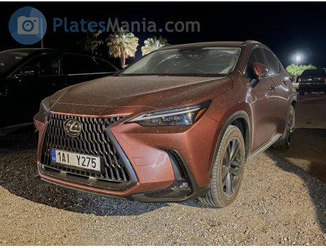 1AI Y275, Lexus NX