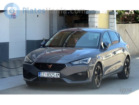 ST 8925-AM, Cupra León