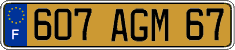 French license plate, FNI
