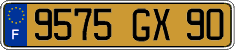French license plate, FNI