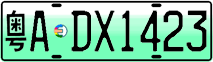 License plate of China, Electric vehicles