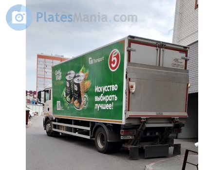 м599нм136, CNHTC (Sinotruk) Howo / Sitrak G/T-Series