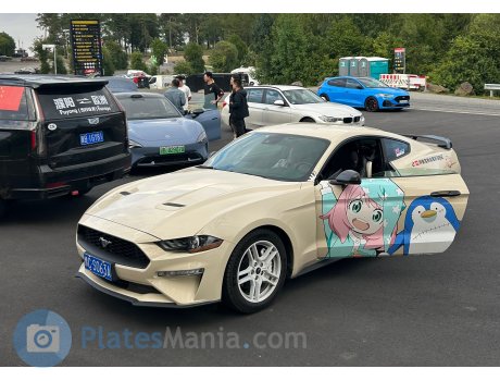 豫C·S063A, Ford Mustang