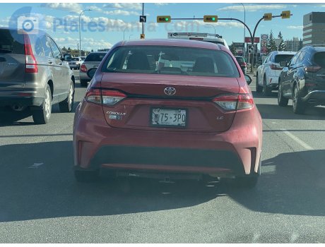 75-3PQ, Toyota Corolla