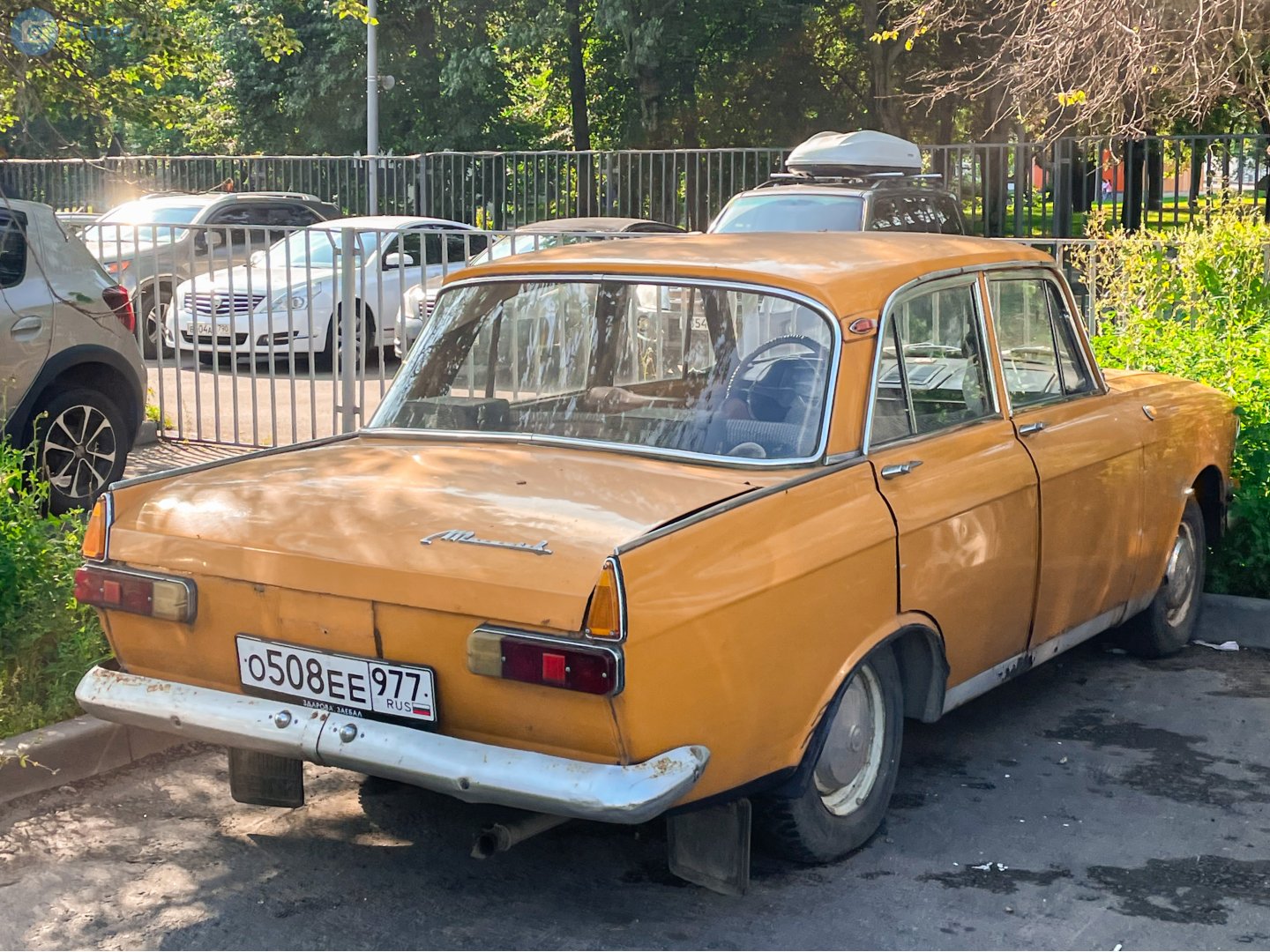 о 508 ее 977, License plate without vehicle 