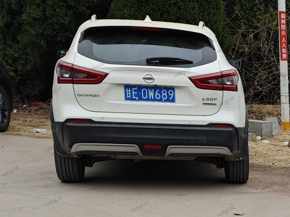 甘E·0W689, Nissan Qashqai 2nd gen (J11), facelift, 2017–2021 (–2024 for others)