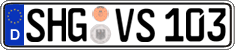 German license plate, Regular plates