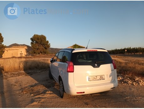 7247 JGL, Peugeot 5008