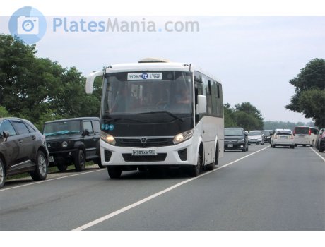 н989хв125, PAZ 3203/3204
