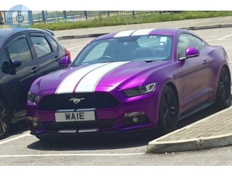 WA1E, Ford Mustang