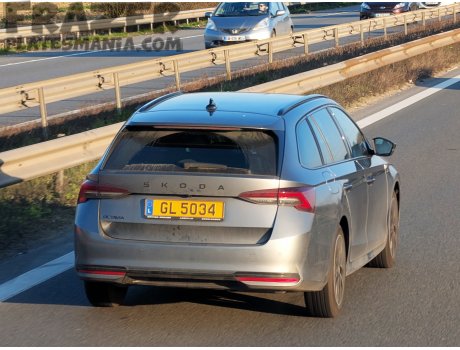 GL 5034, Skoda Octavia