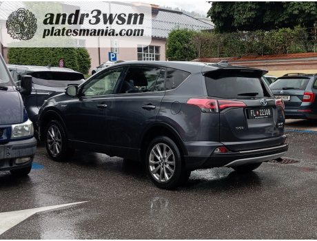 FL 22308, Toyota RAV4