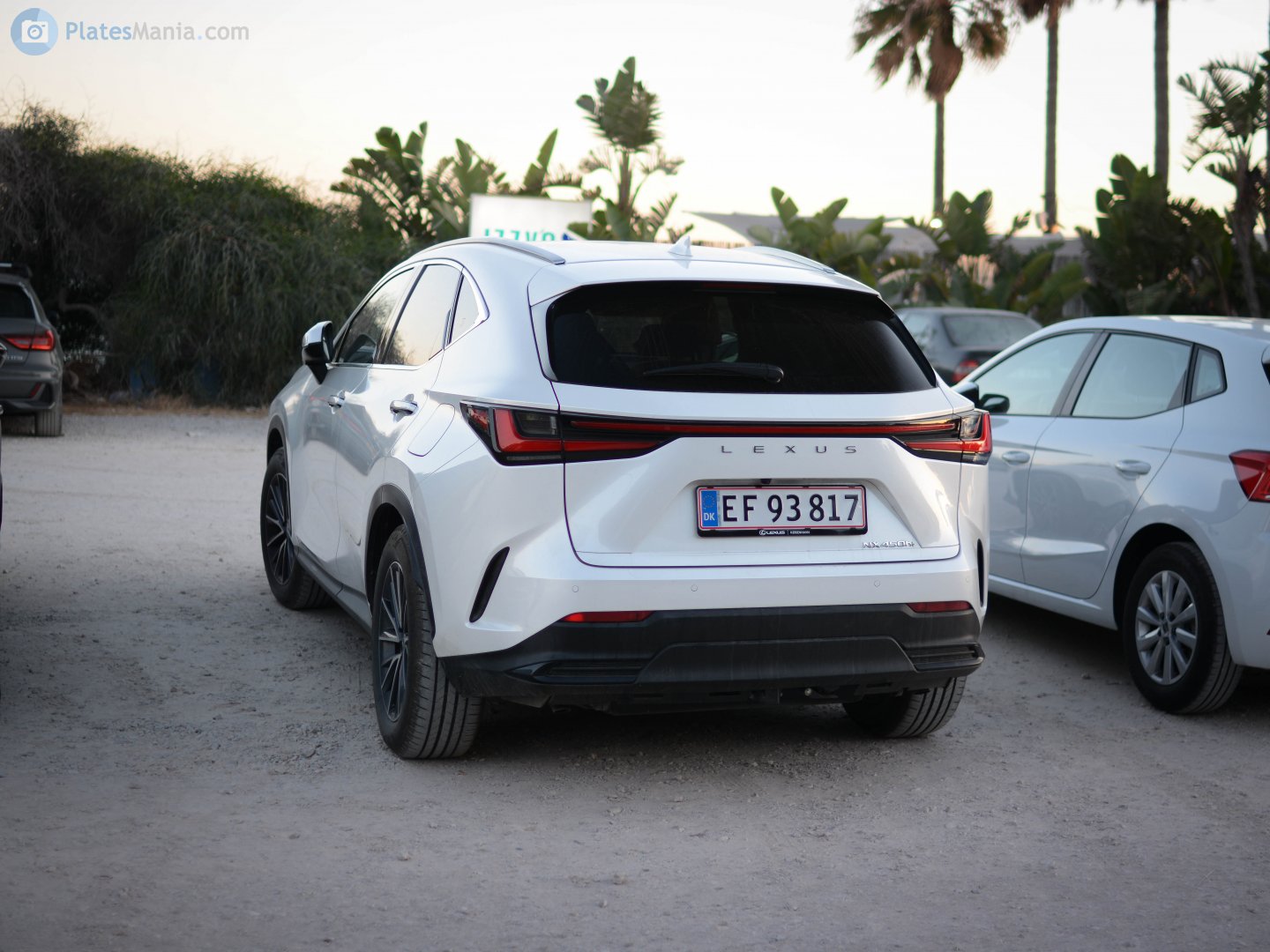 EF 93817, Lexus NX 2nd gen (AZ20), 2021–