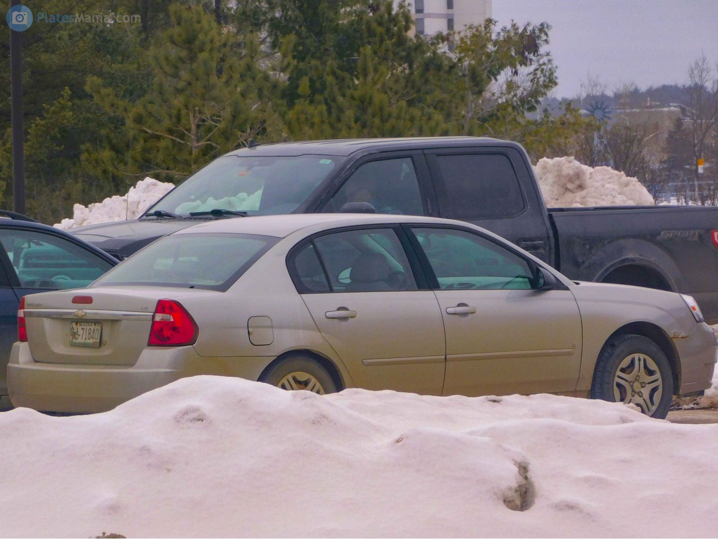 71840, Chevrolet Malibu 3rd gen Sedan (GMX380), 2003–2008