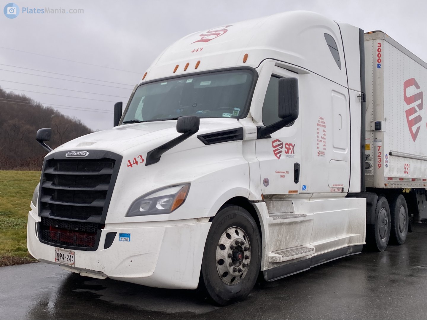 P4-244, Freightliner Cascadia 2nd gen, 2017–