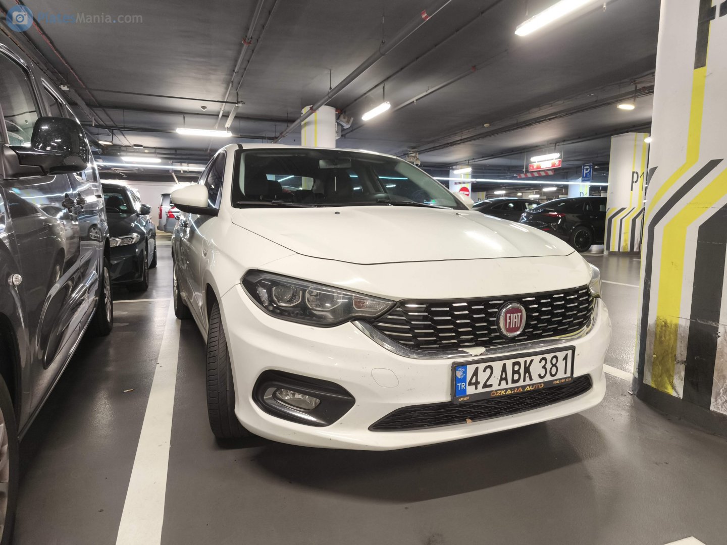 42 ABK 381, FIAT Ægea 