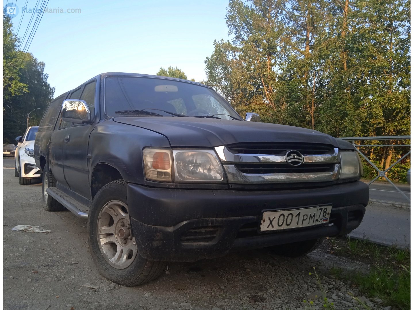 х 001 рм 78, Great Wall (GWM) Deer 