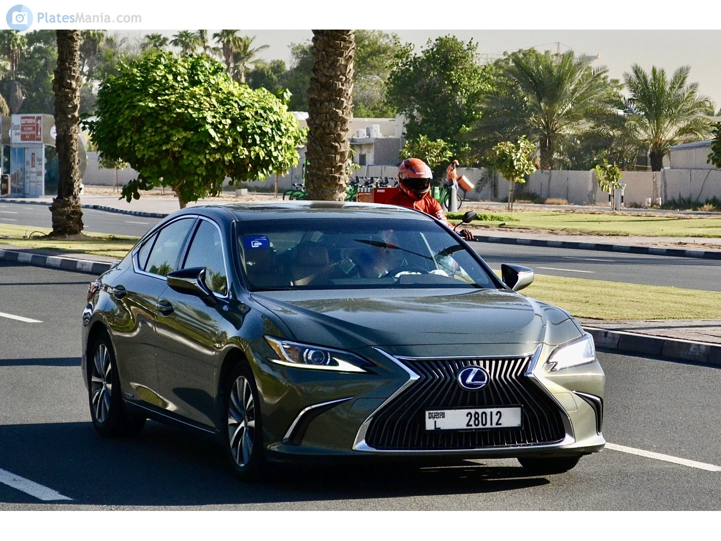 L 28012, Lexus ES 7th gen (XZ10), 2018–