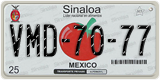 Sinaloa, Cars (AAA-00-00)