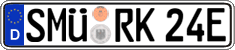 German license plate, Electric vehicles