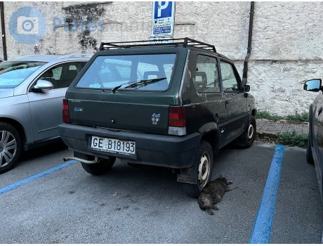 GE B18193, FIAT Panda