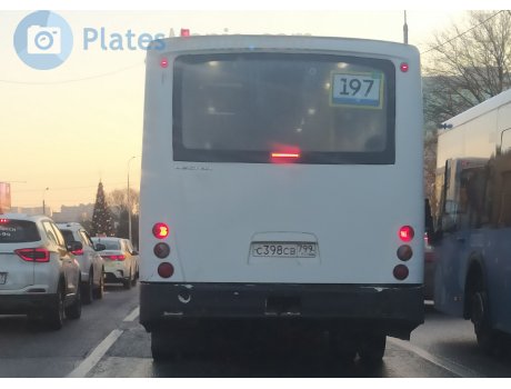 с398св799, PAZ 3203/3204