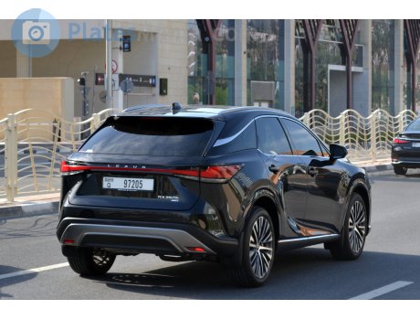 Q 97205, Lexus RX