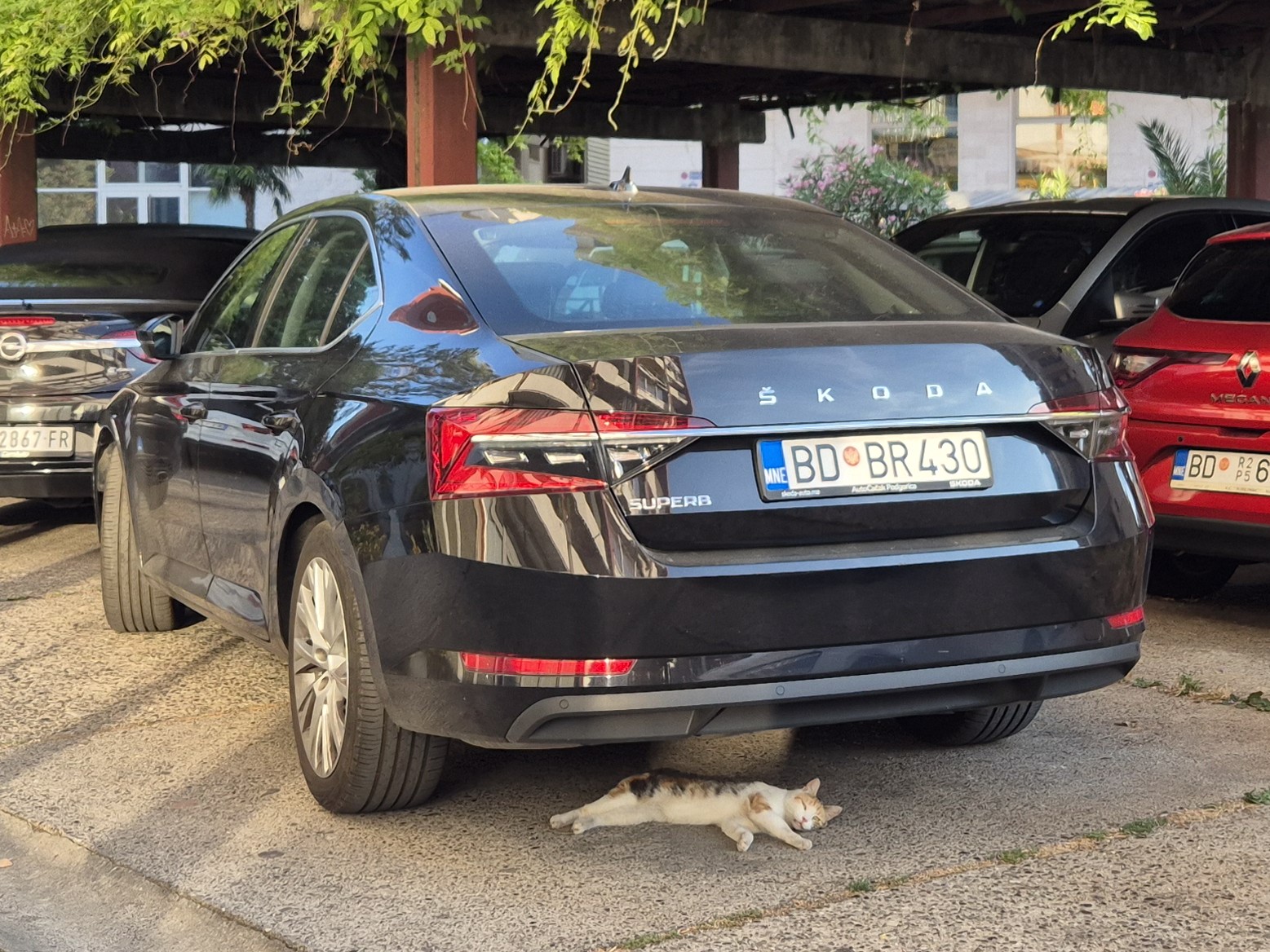 BD BR430, Skoda Superb 3rd gen Liftback (B8/3V3), facelift, 2019–2023