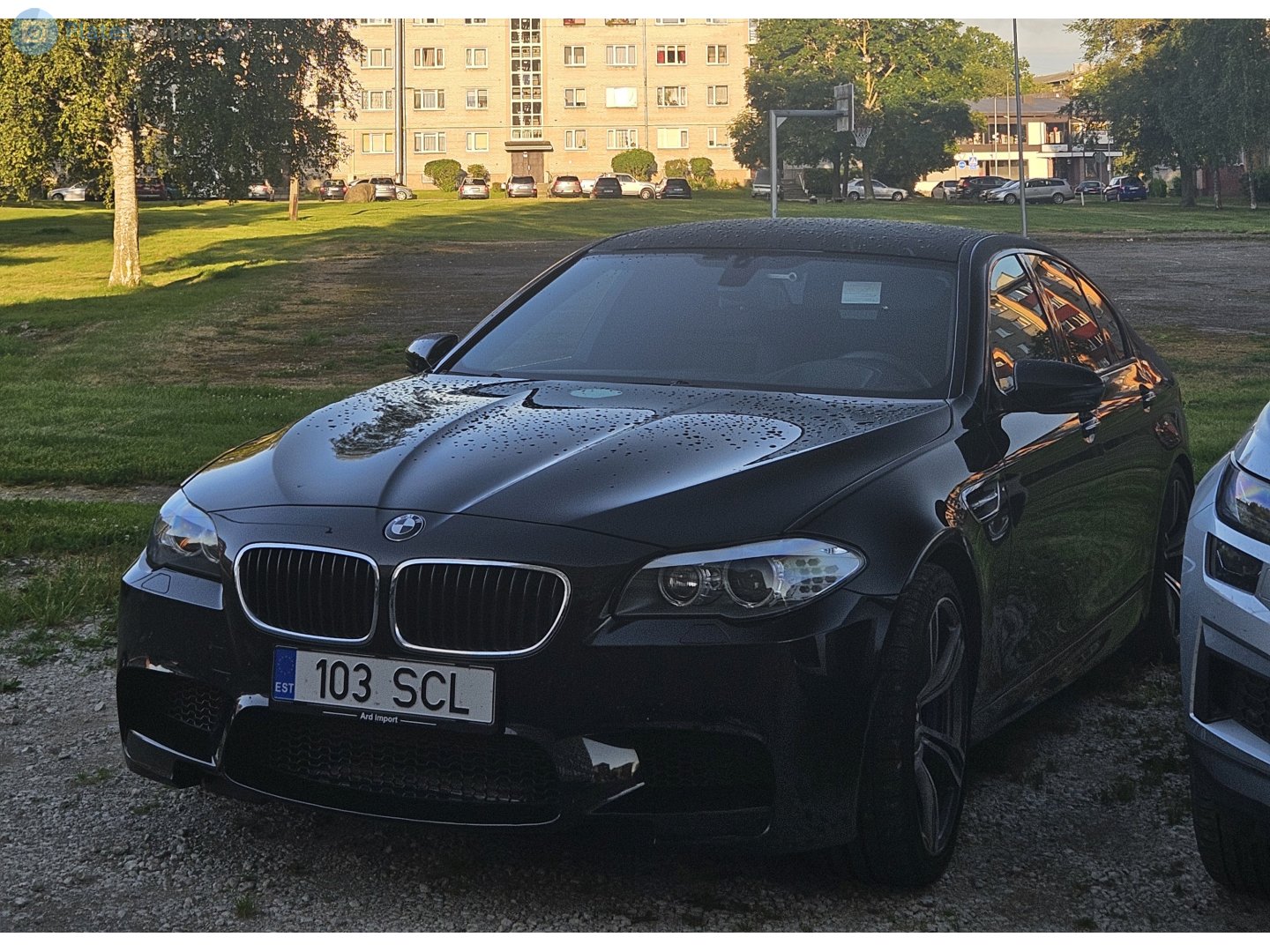 103 SCL, BMW M5 5th  gen (F10), 2011–2016