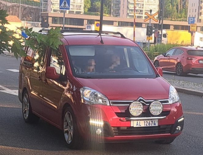 ÅL 12674, Citroёn Berlingo 2nd gen Multispace (B9), 2008–2018 (–2022 for CIS-market)