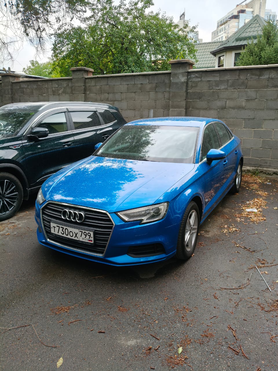 т 730 ох 799, Audi A3 3rd gen Sedan (8VS/8VM), facelift, 2016–2020