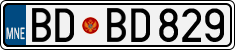 BD BD829