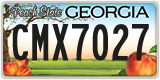Georgia, ABC 1234