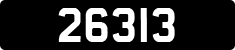 26313