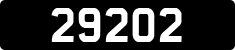 29202