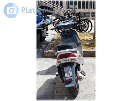 ZG 7023-FN, Kymco Scout/Fever