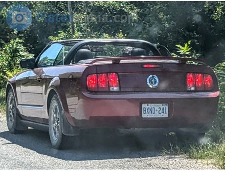 BXND-241, Ford Mustang