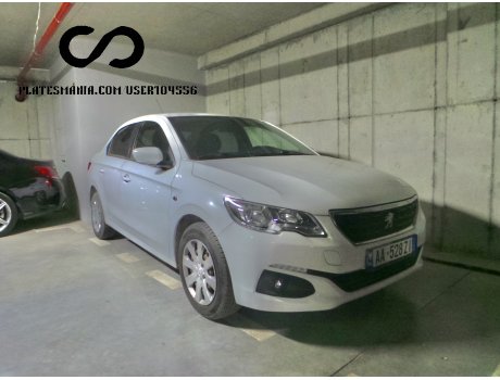 AA 528 ZI, Peugeot 301