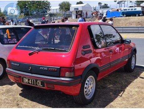 BM-411-DL, Peugeot 205