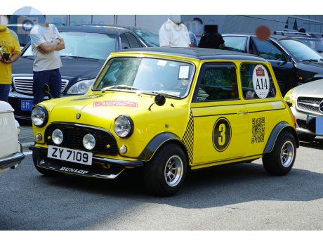 ZY 7109, Rover Mini