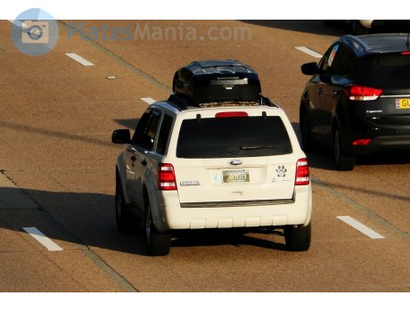 DPM319, Ford Escape